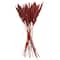 Dried Plant Bamboo Natural Foliage with Long Stems